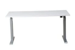 PROREGAL Elektrisch Höhenverstellbarer Schreibtisch Zebra | HxBxT 70-116x140x80 Cm | Silber-Weiß