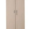 PROREGAL Aktenschrank Beetle | HxBxT 195x92x42 Cm | Silber-Ahorn -Proregal 1d31fa7d 8b92 4d40 a953 0a14e5763d22 1