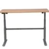 PROREGAL Elektrisch Höhenverstellbarer Schreibtisch Elk | HxBxT 63-128x160x80 Cm | Silber-Buche -Proregal acb1e383 637b 4e8a 9903 76c6ba1de8ce 1